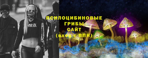 мяу мяу мука Алексеевка