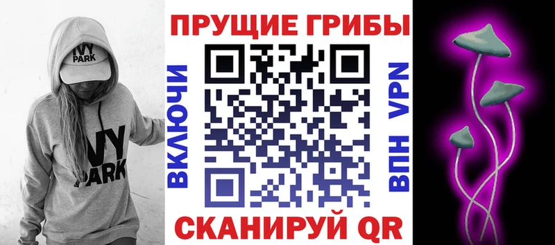 Псилоцибиновые грибы GOLDEN TEACHER  Камешково 